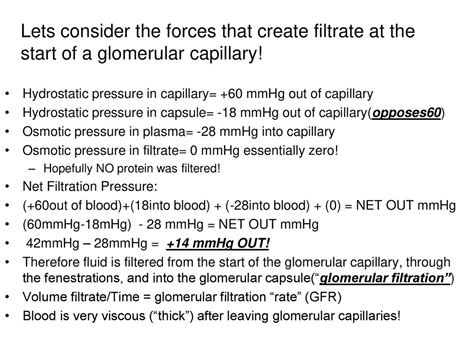 Renal Function 3/27 What is nitrogenous waste and why must we remove it ...