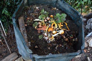 How to Compost Cow Dung | Home Guides | SF Gate