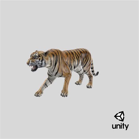 3D model tiger roar - TurboSquid 1271764