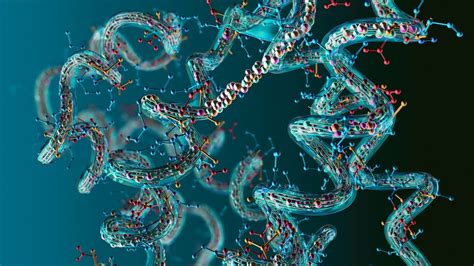 Proteomics: A novel approach for examining ancient human protein