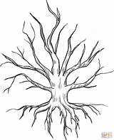 Dried Up Tree with Roots coloring Page  Free Printable Coloring Pages sketch template