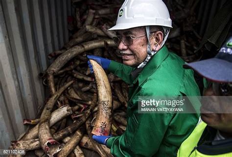 31 Wan Junaidi Tuanku Jaafar Photos & High Res Pictures - Getty Images