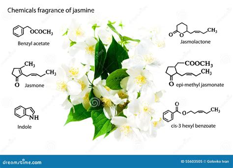 Chemical Weapons, Chemical Structures: Sarin, Tabun, Soman, VX, Lewisite, Mustard Gas, Tear Gas ...