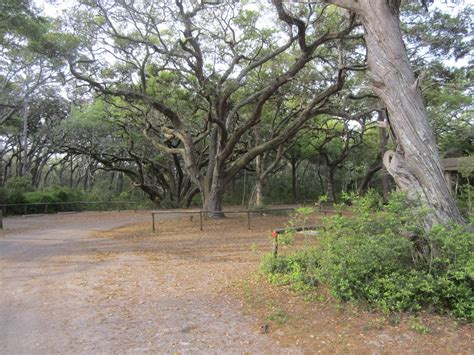 Dave's Yak Tales: Kayaking and Camping, Little Talbot Island State Park