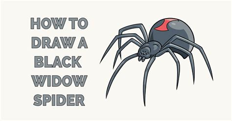 How to Draw a Black Widow Spider Easy - Spivey Ablightmed