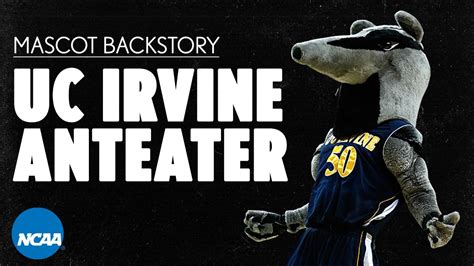 The unique origin behind UC Irvine's Peter the Anteater | NCAA.com