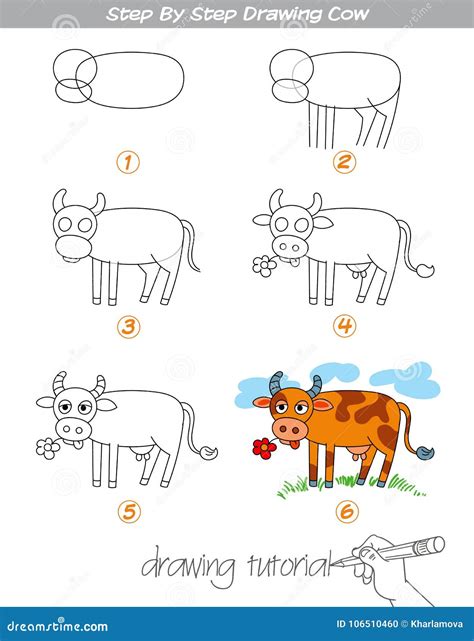 Step by step drawing Cow stock vector. Illustration of drawing - 106510460