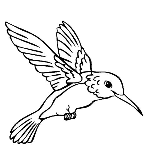 Free Printable Hummingbird Coloring Pages - Printable Word Searches