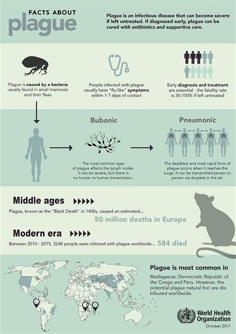 Plague - symptoms, types, treatment of the disease - Healthy Food Near Me