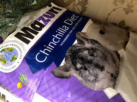 Mazuri Chinchilla Pellets expiry April 2022/ May 2022 – Minnie's Chinchillas