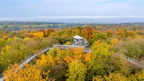 每日壁纸: Treetop walkway in Hainich National Park, Thuringia, Germany ...