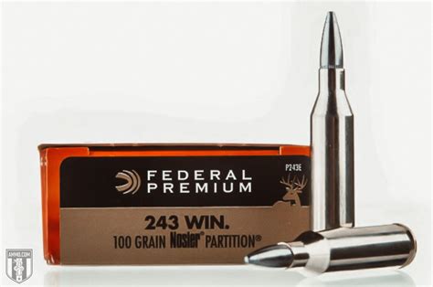 The Best 243 Ammo for Target Shooting Recommended by Experts