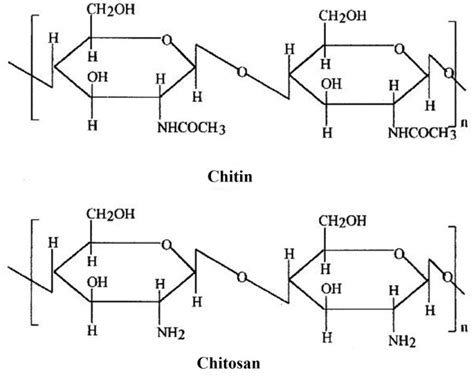 Chitin Molecular Structure