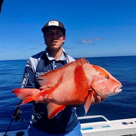 Verified Red emperor sighting in Western Australia by Justin Prentice - Redmap