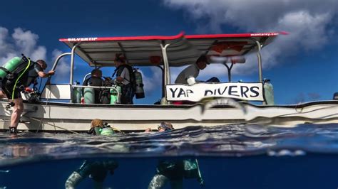 Yap Diving - Micronesia 2018 - YouTube