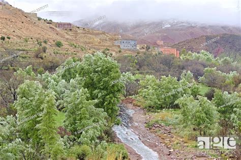 surroundings of the village of Tighza under a thin layer of snow, Ounila River valley, Stock ...