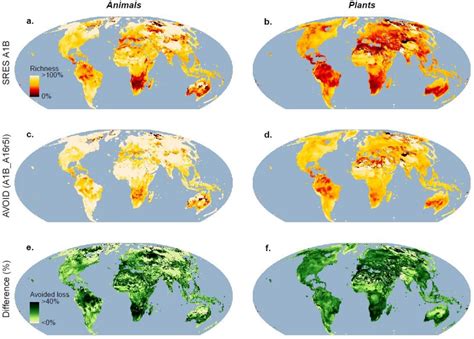 biodiversity loss - GLOBAL IDEAS Blog - DW.DE