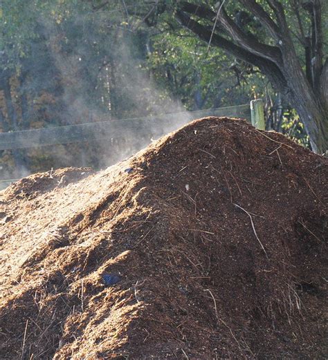 French Farmers Protesting EU-Canada Trade Deal Dump Manure Outside ...