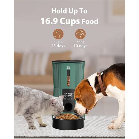 Automatic Programable Timed Cat Food Dispenser – CatPrestige.com