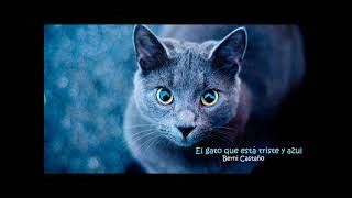 El gato que está triste y azul (de Roberto Carlos) Chords - Chordify