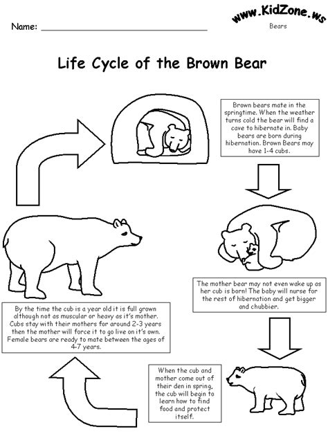 Miss D's Junior Owls: Polar Bear, Polar Bear What Do You See? I See A Kindergarten Class ...