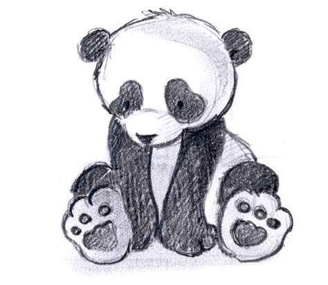 Dessin De Panda Facile A Faire