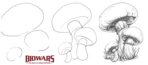 Mushroom Drawing In 7 Easy Steps [Video + Illustrations]