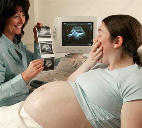 Pregnancy ultrasound - Stock Image - M406/0284 - Science Photo Library