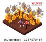 Wildfire in the forest image - Free stock photo - Public Domain photo - CC0 Images