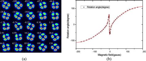 (a) Interference patterns for different magnetic field; the sign and ...