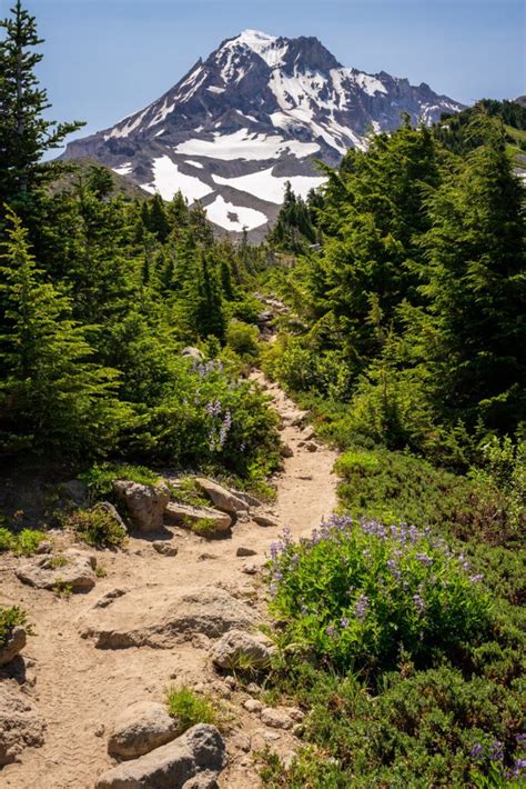 The Best Hikes near Mt. Hood: A Helpful Hiking Guide