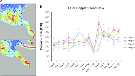 Laser Doppler blood flow analysis. (a) Laser dopper flowmetry was ...