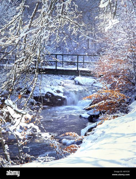 UK Scotland Perthshire Aberfeldy The Birks O Aberfeldy Stock Photo ...