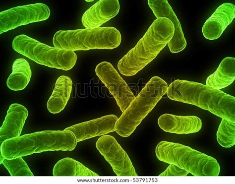 Bacteria Illustration Stock Illustration 53791753 | Shutterstock