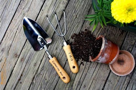 5 Essential Gardening Tools and What They Do - 1001 Gardens