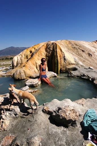 Adventures in the National Park, National Monument, National Forest ...