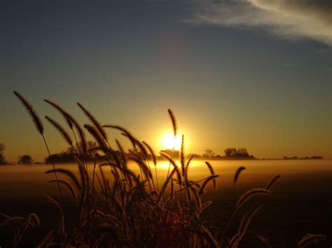 Frosty Morning Sunrise | Smithsonian Photo Contest | Smithsonian Magazine