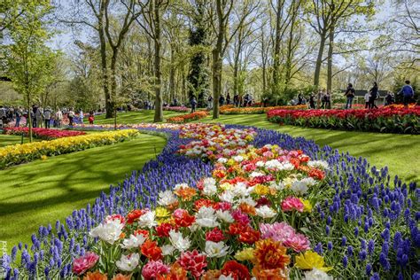 Le printemps en fleurs au Keukenhof de Lisse - Routard.com