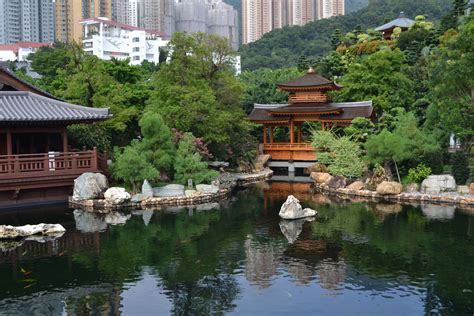 a pond surrounded by trees and rocks with buildings in the background