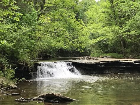 a small waterfall in the middle of a forest filled with rocks and trees, surrounded by green foliage