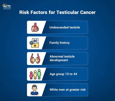 Testicular Cancer: Causes, Symptoms & Treatment Options