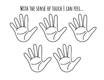 Sense of Touch Worksheet by Tania Romero | TPT