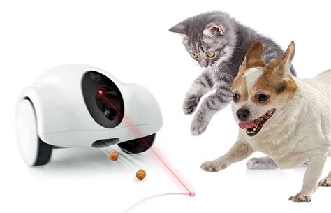 Movable Robotic Pet Camera / Treat Dispenser | The Green Head