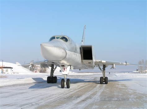 Tu-22M Backfire Long-range Bomber |Russian Military Aircraft Picture