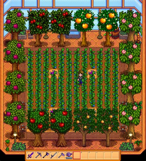 Greenhouse in Stardew Valley: tips, setup and layout | Stardew valley | Stardew valley, Stardew ...