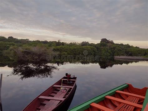 Sunrise of the Amazon Rainforest Stock Photo - Image of rest, river ...