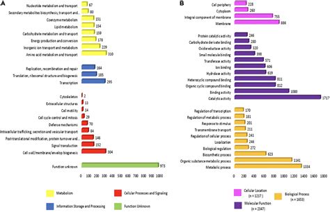 Frontiers | Whole genome sequencing of the multidrug-resistant Chryseobacterium indologenes ...