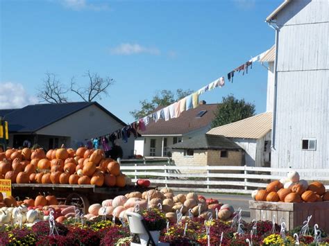 Amish Country,Millersburg Ohio | AMISH, HUTTERITES & MENNONITES & the AMANA PEOPLE - Customs ...