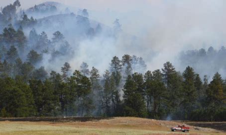 Fire in California forest - Searchgyan