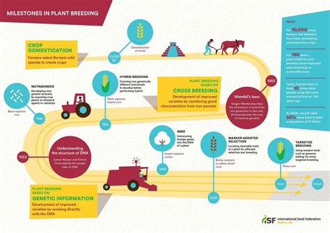 Plant Breeding – International Seed Federation